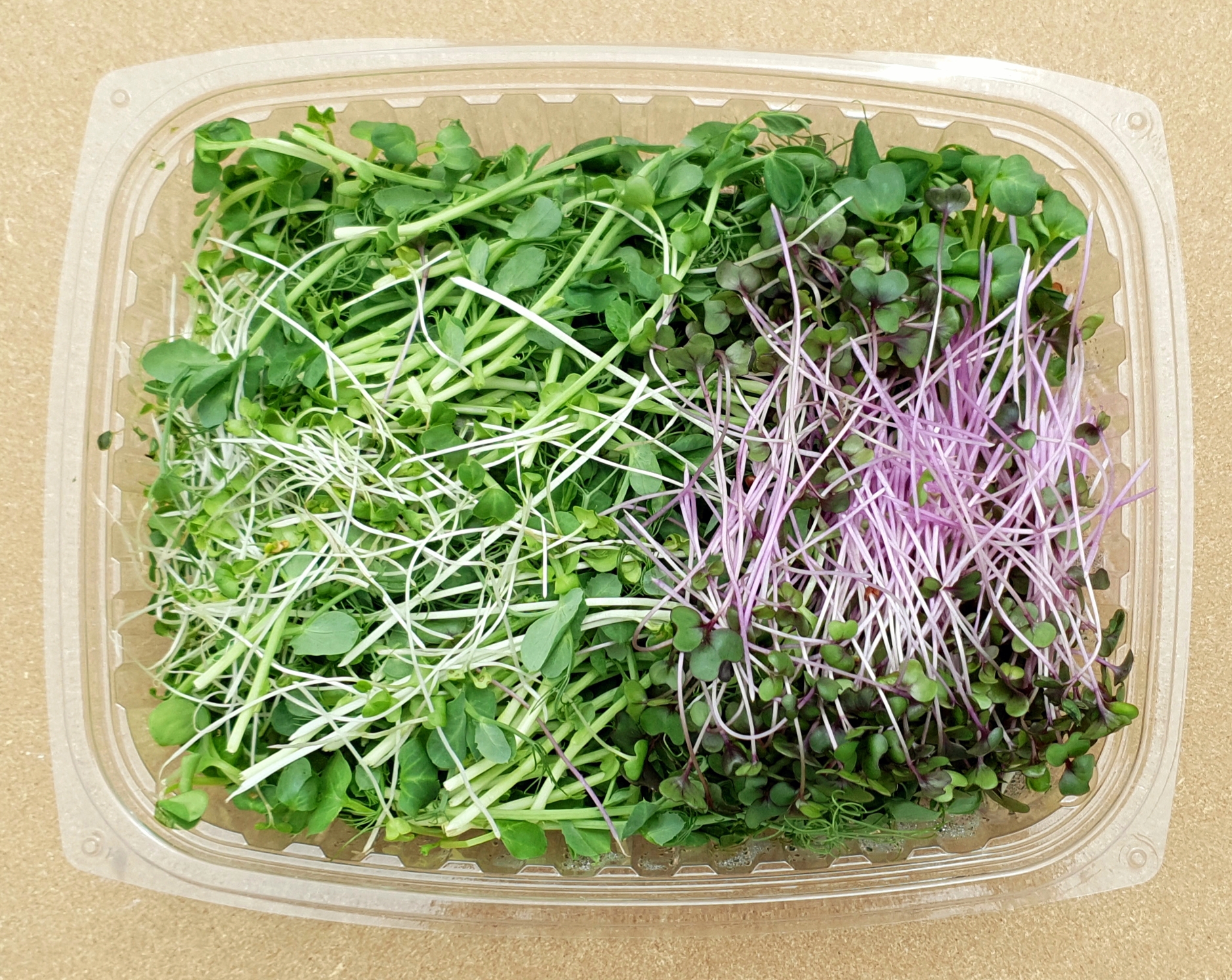 Microgreens Salad Mix