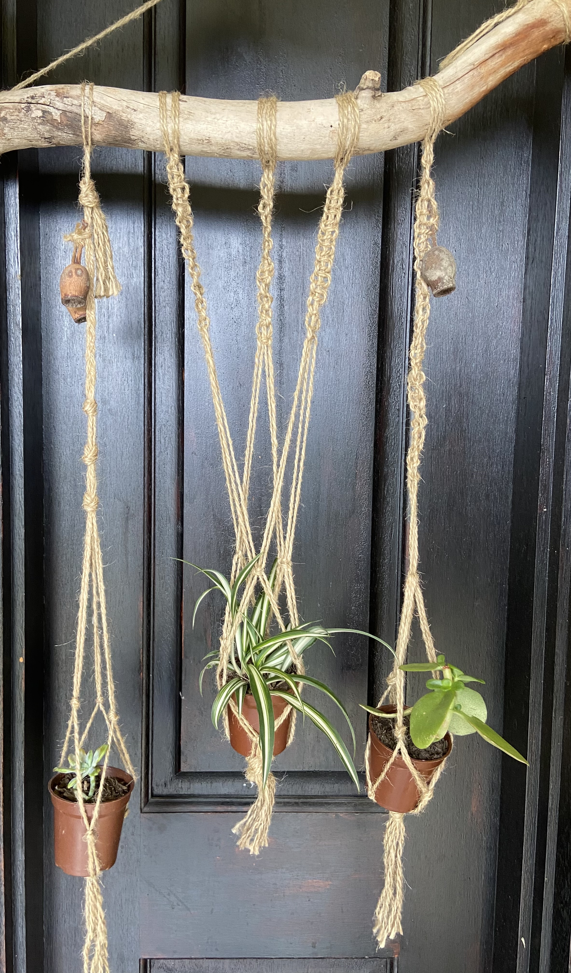 Hanging planters